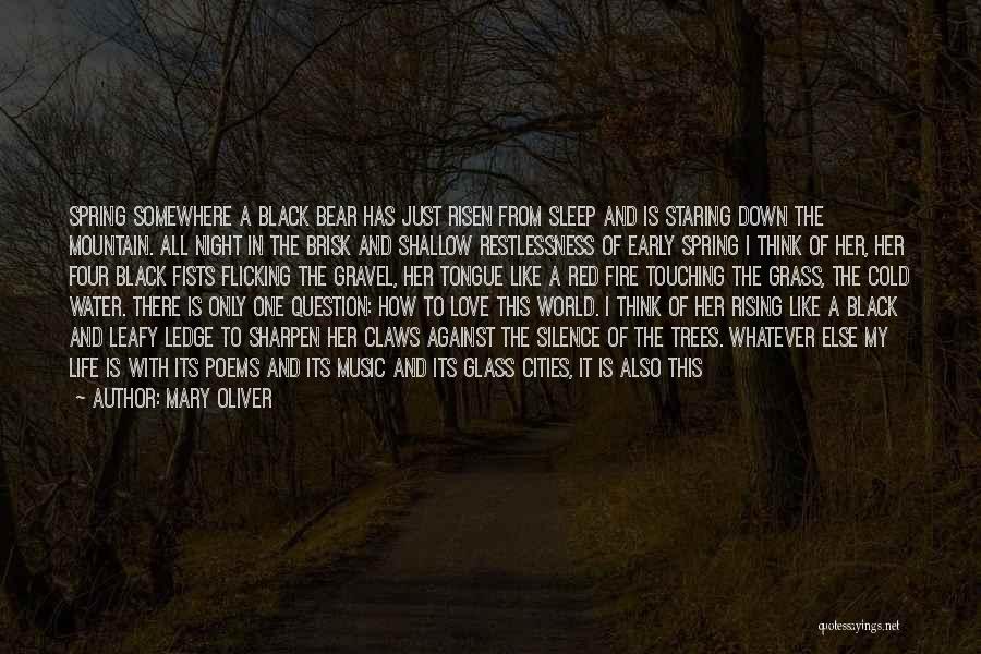 Mary Oliver Quotes: Spring Somewhere A Black Bear Has Just Risen From Sleep And Is Staring Down The Mountain. All Night In The