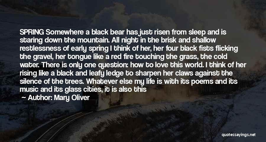 Mary Oliver Quotes: Spring Somewhere A Black Bear Has Just Risen From Sleep And Is Staring Down The Mountain. All Night In The