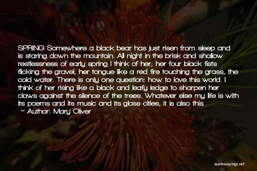 Mary Oliver Quotes: Spring Somewhere A Black Bear Has Just Risen From Sleep And Is Staring Down The Mountain. All Night In The