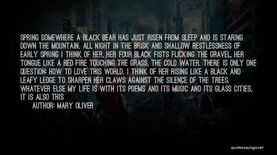 Mary Oliver Quotes: Spring Somewhere A Black Bear Has Just Risen From Sleep And Is Staring Down The Mountain. All Night In The