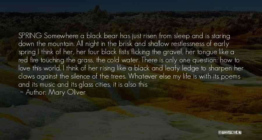 Mary Oliver Quotes: Spring Somewhere A Black Bear Has Just Risen From Sleep And Is Staring Down The Mountain. All Night In The