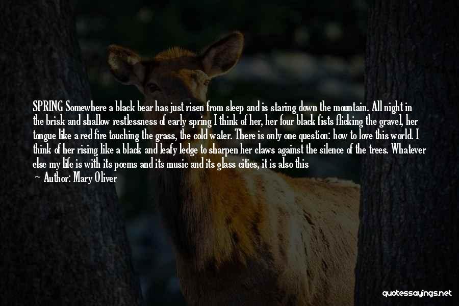 Mary Oliver Quotes: Spring Somewhere A Black Bear Has Just Risen From Sleep And Is Staring Down The Mountain. All Night In The