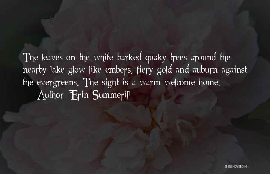 Erin Summerill Quotes: The Leaves On The White-barked Quaky Trees Around The Nearby Lake Glow Like Embers, Fiery Gold And Auburn Against The