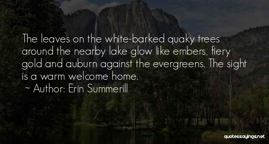Erin Summerill Quotes: The Leaves On The White-barked Quaky Trees Around The Nearby Lake Glow Like Embers, Fiery Gold And Auburn Against The