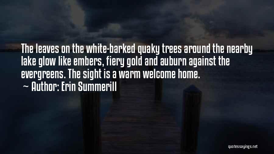Erin Summerill Quotes: The Leaves On The White-barked Quaky Trees Around The Nearby Lake Glow Like Embers, Fiery Gold And Auburn Against The