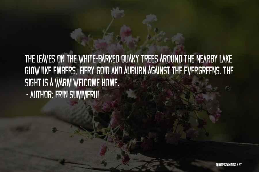 Erin Summerill Quotes: The Leaves On The White-barked Quaky Trees Around The Nearby Lake Glow Like Embers, Fiery Gold And Auburn Against The