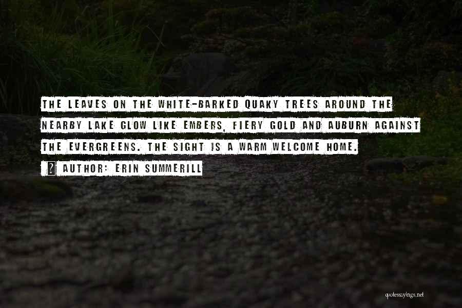 Erin Summerill Quotes: The Leaves On The White-barked Quaky Trees Around The Nearby Lake Glow Like Embers, Fiery Gold And Auburn Against The