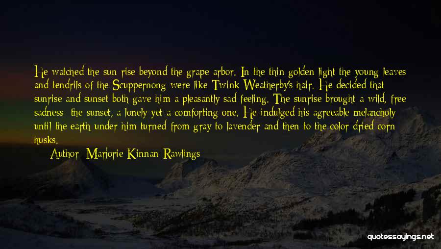 Marjorie Kinnan Rawlings Quotes: He Watched The Sun Rise Beyond The Grape Arbor. In The Thin Golden Light The Young Leaves And Tendrils Of