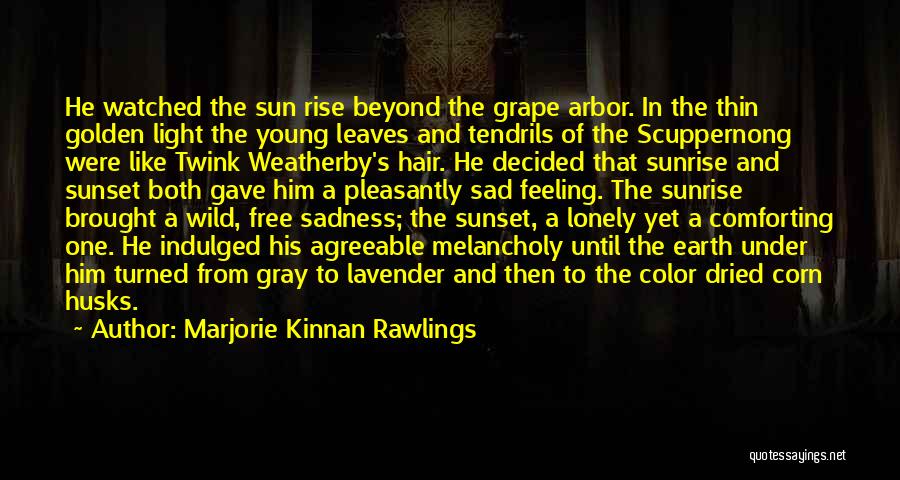 Marjorie Kinnan Rawlings Quotes: He Watched The Sun Rise Beyond The Grape Arbor. In The Thin Golden Light The Young Leaves And Tendrils Of