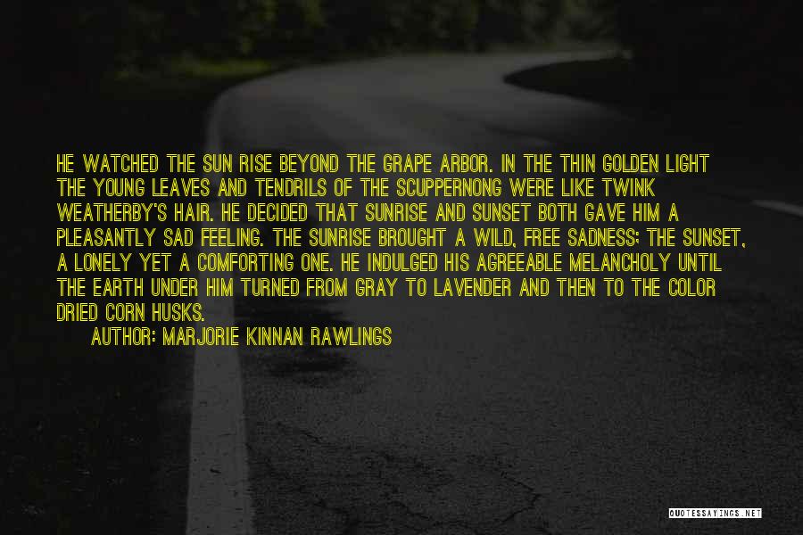 Marjorie Kinnan Rawlings Quotes: He Watched The Sun Rise Beyond The Grape Arbor. In The Thin Golden Light The Young Leaves And Tendrils Of