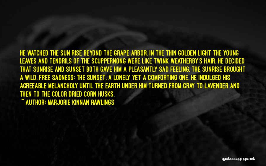 Marjorie Kinnan Rawlings Quotes: He Watched The Sun Rise Beyond The Grape Arbor. In The Thin Golden Light The Young Leaves And Tendrils Of