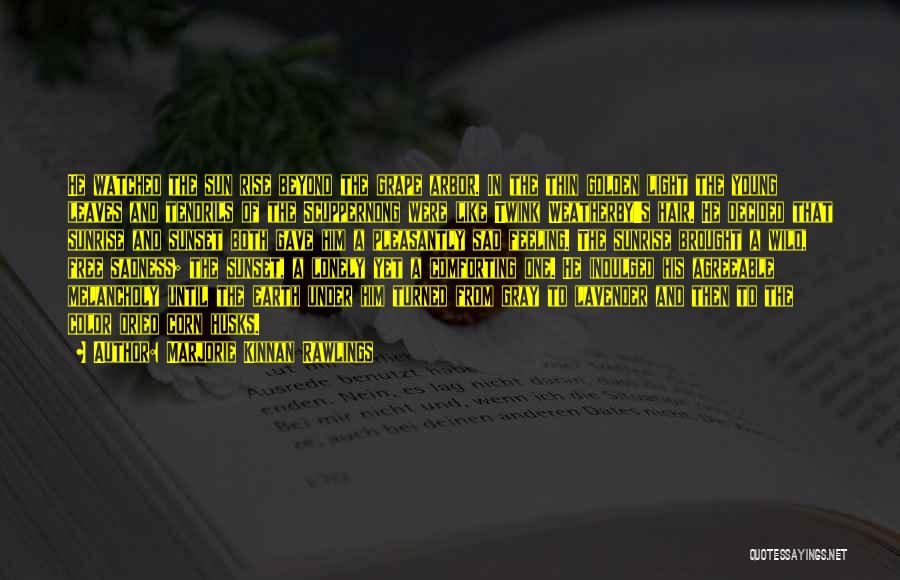 Marjorie Kinnan Rawlings Quotes: He Watched The Sun Rise Beyond The Grape Arbor. In The Thin Golden Light The Young Leaves And Tendrils Of