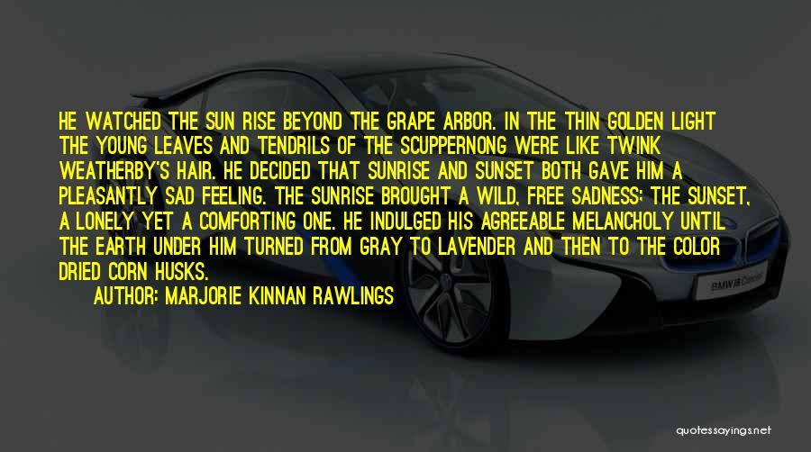 Marjorie Kinnan Rawlings Quotes: He Watched The Sun Rise Beyond The Grape Arbor. In The Thin Golden Light The Young Leaves And Tendrils Of