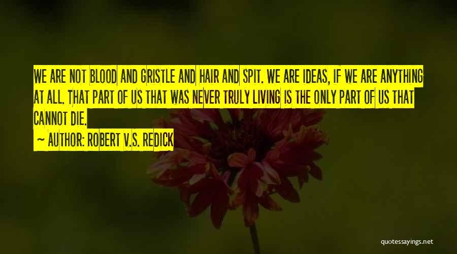 Robert V.S. Redick Quotes: We Are Not Blood And Gristle And Hair And Spit. We Are Ideas, If We Are Anything At All. That