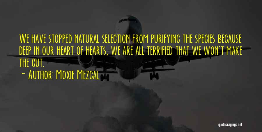 Moxie Mezcal Quotes: We Have Stopped Natural Selection From Purifying The Species Because Deep In Our Heart Of Hearts, We Are All Terrified