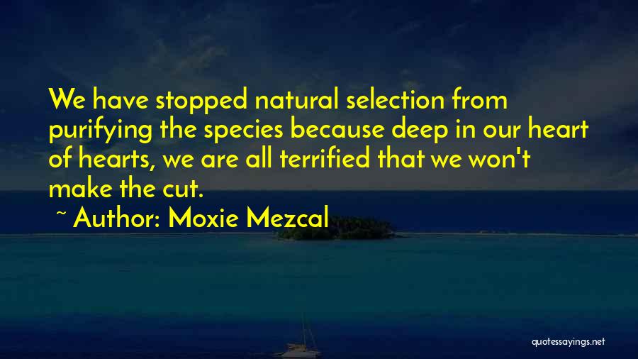 Moxie Mezcal Quotes: We Have Stopped Natural Selection From Purifying The Species Because Deep In Our Heart Of Hearts, We Are All Terrified