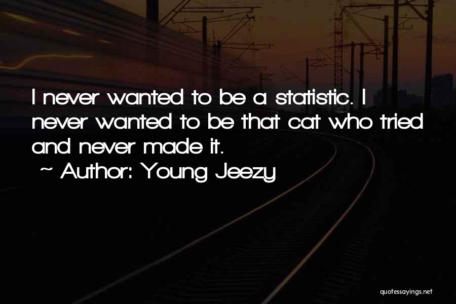 Young Jeezy Quotes: I Never Wanted To Be A Statistic. I Never Wanted To Be That Cat Who Tried And Never Made It.