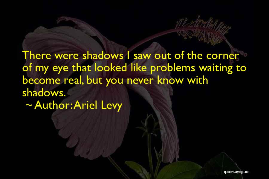 Ariel Levy Quotes: There Were Shadows I Saw Out Of The Corner Of My Eye That Looked Like Problems Waiting To Become Real,