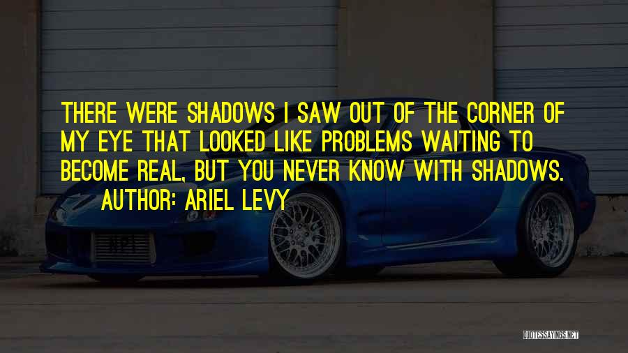 Ariel Levy Quotes: There Were Shadows I Saw Out Of The Corner Of My Eye That Looked Like Problems Waiting To Become Real,