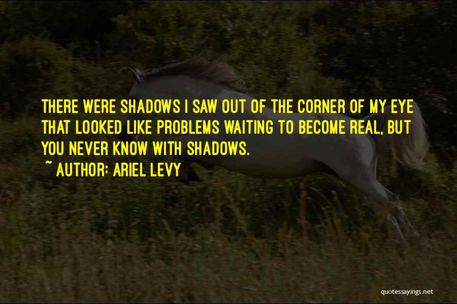 Ariel Levy Quotes: There Were Shadows I Saw Out Of The Corner Of My Eye That Looked Like Problems Waiting To Become Real,