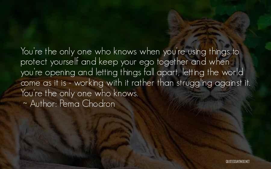 Pema Chodron Quotes: You're The Only One Who Knows When You're Using Things To Protect Yourself And Keep Your Ego Together And When