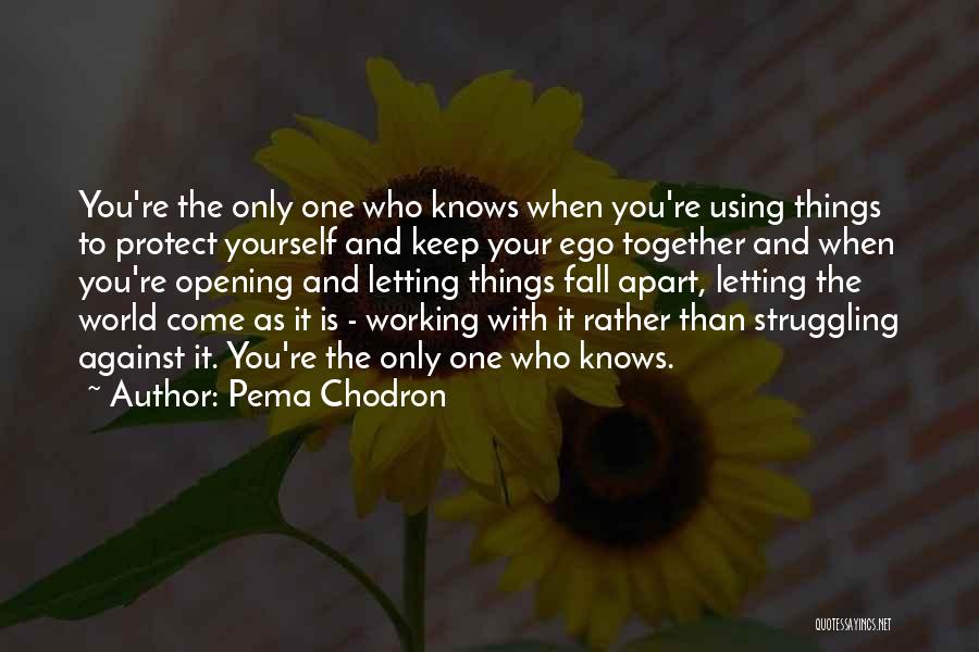 Pema Chodron Quotes: You're The Only One Who Knows When You're Using Things To Protect Yourself And Keep Your Ego Together And When