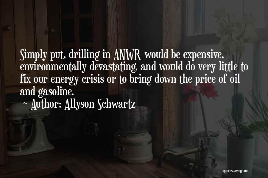 Allyson Schwartz Quotes: Simply Put, Drilling In Anwr Would Be Expensive, Environmentally Devastating, And Would Do Very Little To Fix Our Energy Crisis