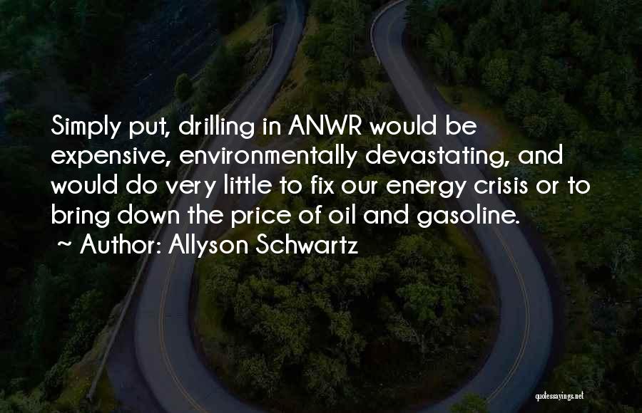 Allyson Schwartz Quotes: Simply Put, Drilling In Anwr Would Be Expensive, Environmentally Devastating, And Would Do Very Little To Fix Our Energy Crisis