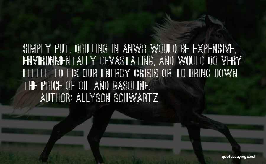 Allyson Schwartz Quotes: Simply Put, Drilling In Anwr Would Be Expensive, Environmentally Devastating, And Would Do Very Little To Fix Our Energy Crisis