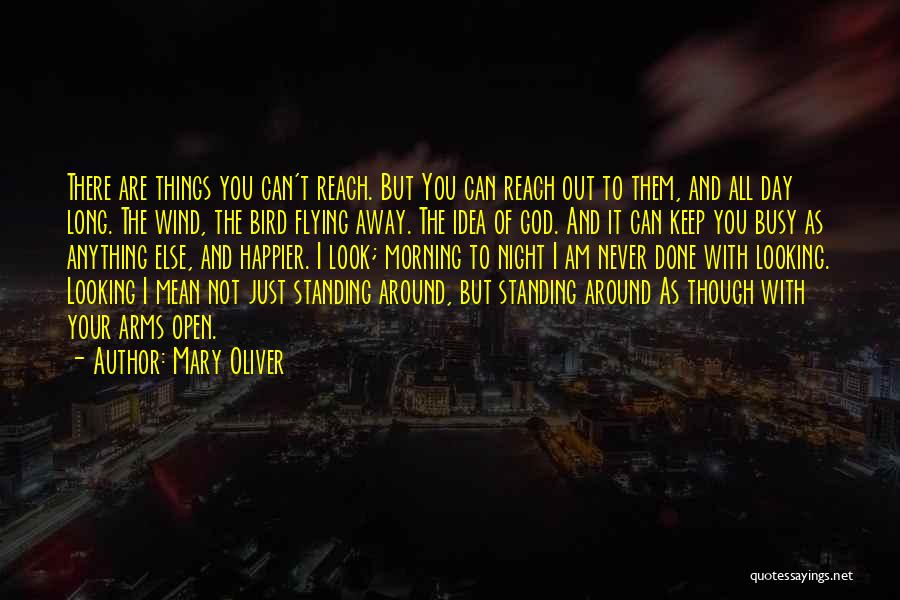 Mary Oliver Quotes: There Are Things You Can't Reach. But You Can Reach Out To Them, And All Day Long. The Wind, The