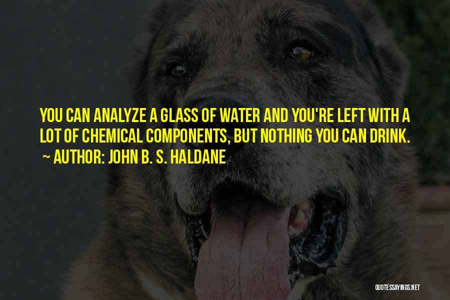 John B. S. Haldane Quotes: You Can Analyze A Glass Of Water And You're Left With A Lot Of Chemical Components, But Nothing You Can