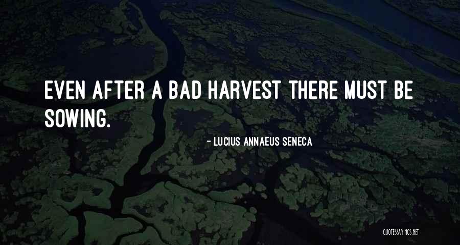 1132 Angel Quotes By Lucius Annaeus Seneca 1132 Angel Quotes By Lucius Annaeus Seneca