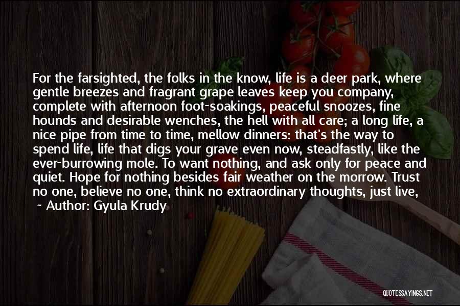 Gyula Krudy Quotes: For The Farsighted, The Folks In The Know, Life Is A Deer Park, Where Gentle Breezes And Fragrant Grape Leaves