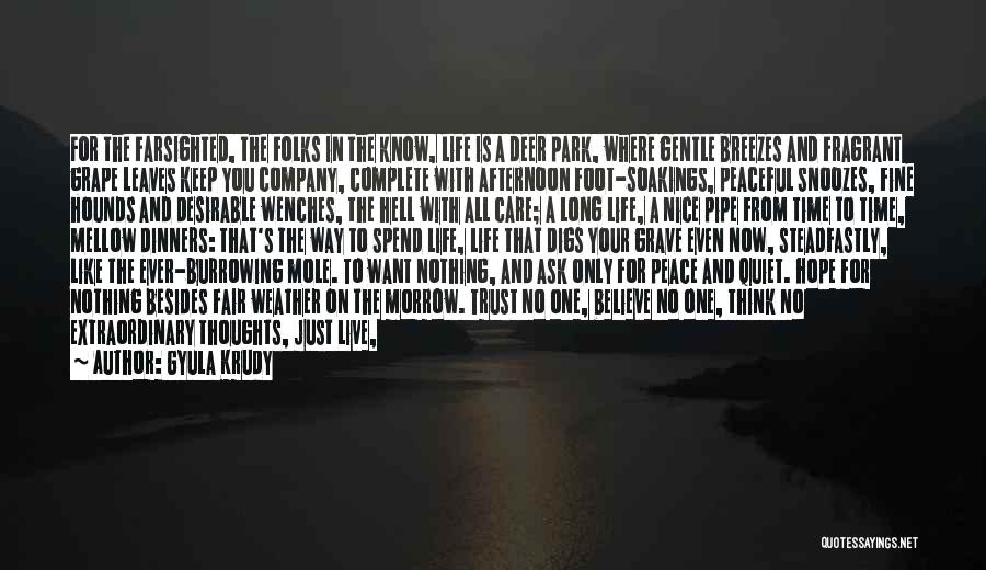 Gyula Krudy Quotes: For The Farsighted, The Folks In The Know, Life Is A Deer Park, Where Gentle Breezes And Fragrant Grape Leaves