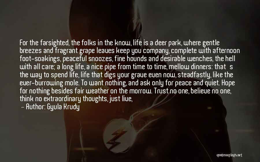 Gyula Krudy Quotes: For The Farsighted, The Folks In The Know, Life Is A Deer Park, Where Gentle Breezes And Fragrant Grape Leaves