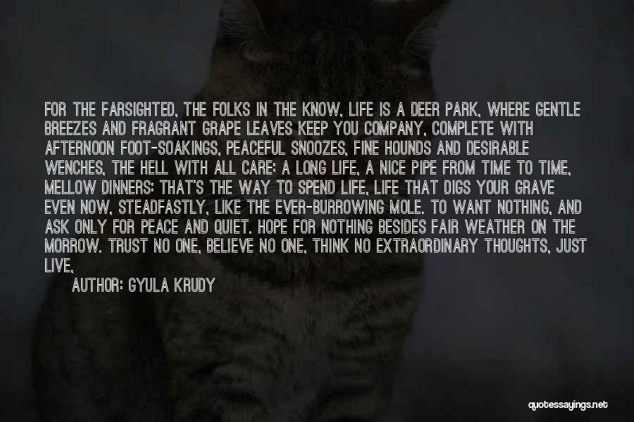 Gyula Krudy Quotes: For The Farsighted, The Folks In The Know, Life Is A Deer Park, Where Gentle Breezes And Fragrant Grape Leaves