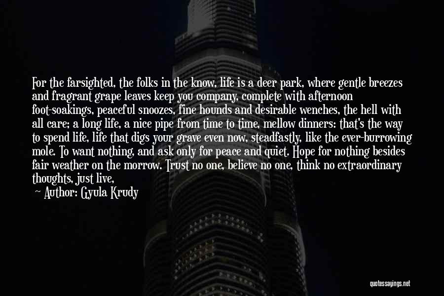 Gyula Krudy Quotes: For The Farsighted, The Folks In The Know, Life Is A Deer Park, Where Gentle Breezes And Fragrant Grape Leaves