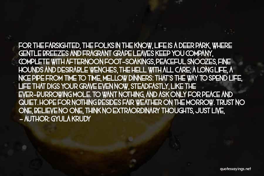 Gyula Krudy Quotes: For The Farsighted, The Folks In The Know, Life Is A Deer Park, Where Gentle Breezes And Fragrant Grape Leaves