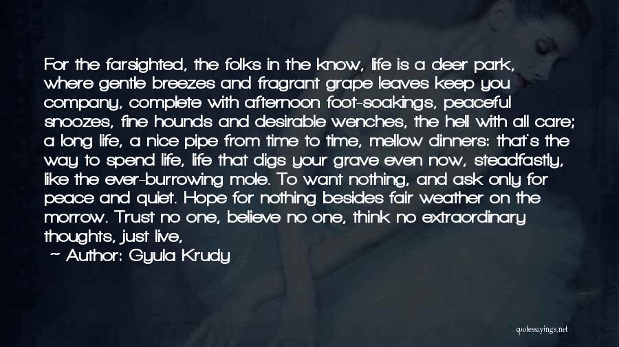 Gyula Krudy Quotes: For The Farsighted, The Folks In The Know, Life Is A Deer Park, Where Gentle Breezes And Fragrant Grape Leaves