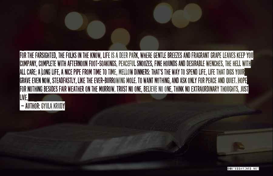 Gyula Krudy Quotes: For The Farsighted, The Folks In The Know, Life Is A Deer Park, Where Gentle Breezes And Fragrant Grape Leaves