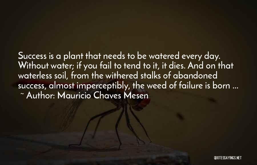 Mauricio Chaves Mesen Quotes: Success Is A Plant That Needs To Be Watered Every Day. Without Water; If You Fail To Tend To It,