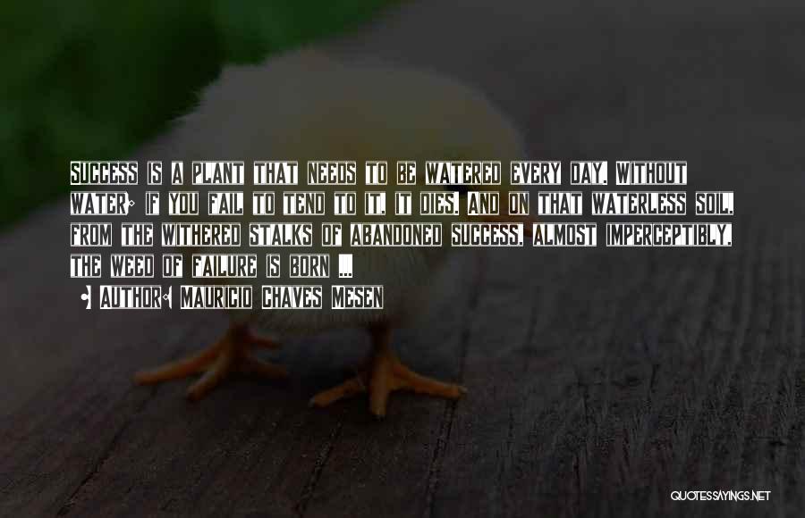 Mauricio Chaves Mesen Quotes: Success Is A Plant That Needs To Be Watered Every Day. Without Water; If You Fail To Tend To It,