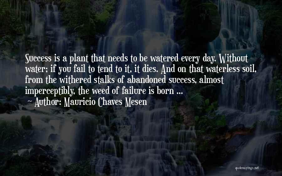 Mauricio Chaves Mesen Quotes: Success Is A Plant That Needs To Be Watered Every Day. Without Water; If You Fail To Tend To It,