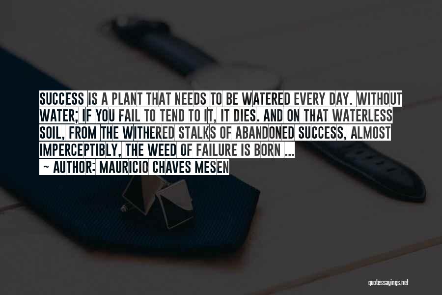 Mauricio Chaves Mesen Quotes: Success Is A Plant That Needs To Be Watered Every Day. Without Water; If You Fail To Tend To It,