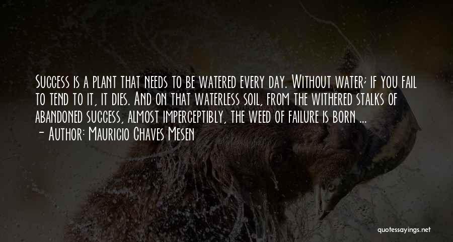 Mauricio Chaves Mesen Quotes: Success Is A Plant That Needs To Be Watered Every Day. Without Water; If You Fail To Tend To It,