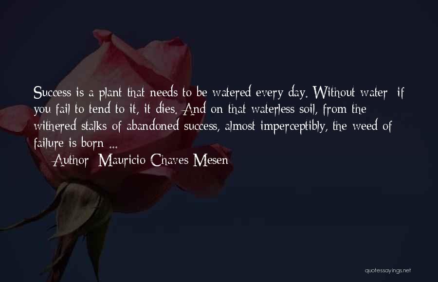 Mauricio Chaves Mesen Quotes: Success Is A Plant That Needs To Be Watered Every Day. Without Water; If You Fail To Tend To It,