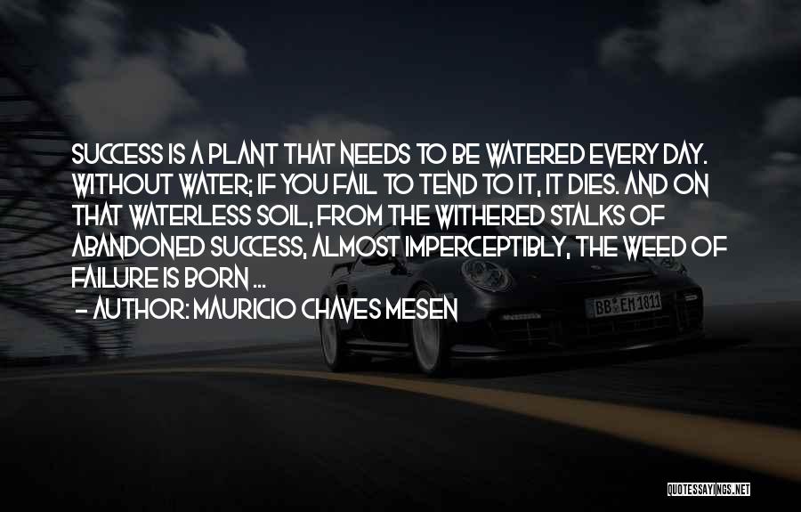 Mauricio Chaves Mesen Quotes: Success Is A Plant That Needs To Be Watered Every Day. Without Water; If You Fail To Tend To It,