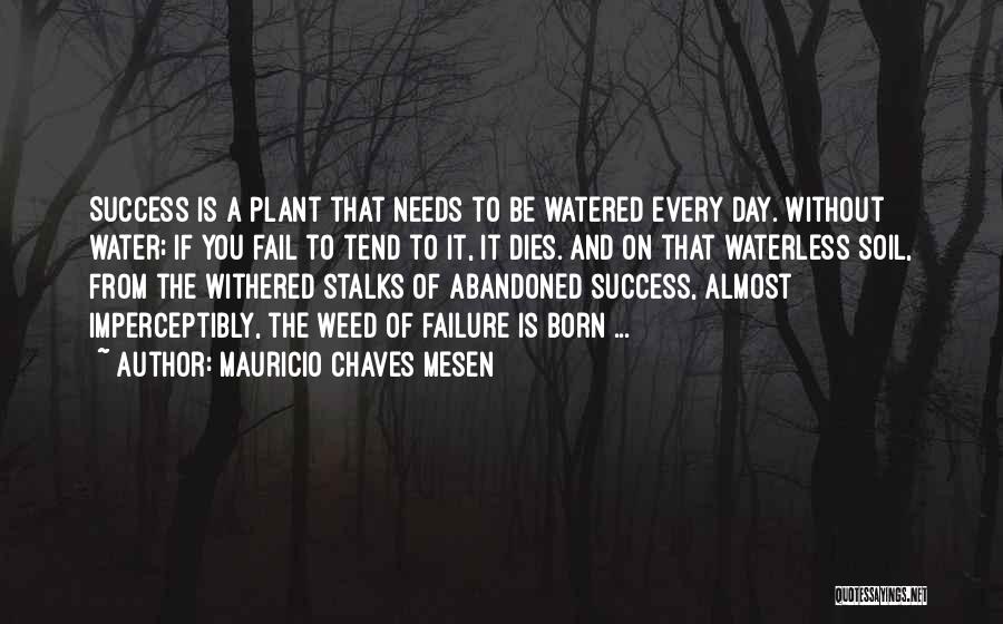 Mauricio Chaves Mesen Quotes: Success Is A Plant That Needs To Be Watered Every Day. Without Water; If You Fail To Tend To It,