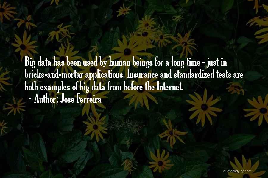 Jose Ferreira Quotes: Big Data Has Been Used By Human Beings For A Long Time - Just In Bricks-and-mortar Applications. Insurance And Standardized