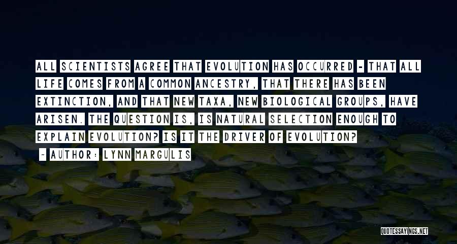 Lynn Margulis Quotes: All Scientists Agree That Evolution Has Occurred - That All Life Comes From A Common Ancestry, That There Has Been